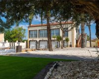 Reventa - Country House - Catral