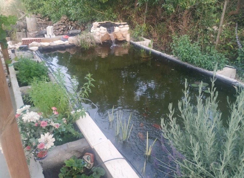 Reventa - Country House - Crevillente