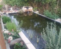 Reventa - Country House - Crevillente