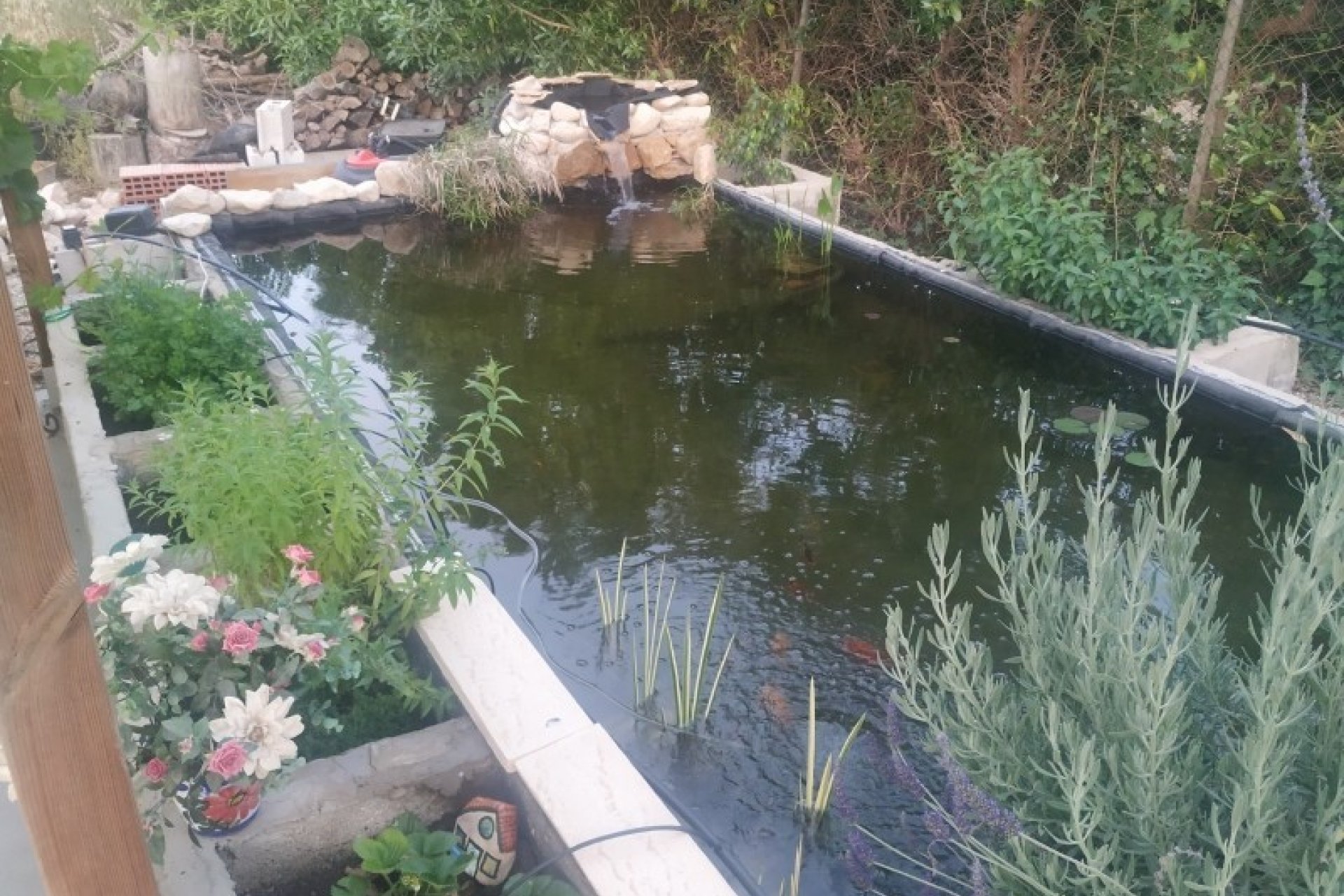 Reventa - Country House - Crevillente