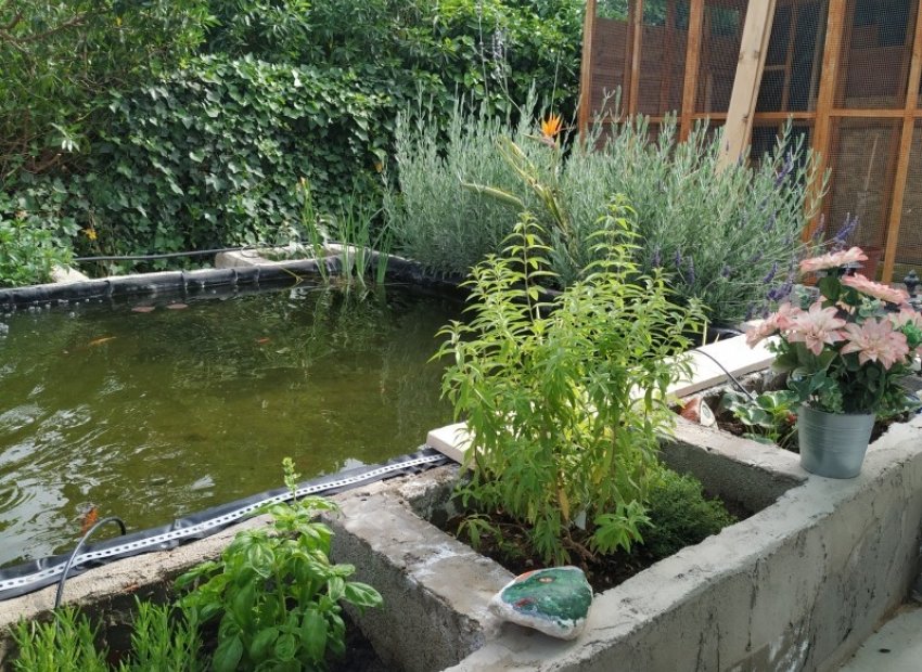 Reventa - Country House - Crevillente