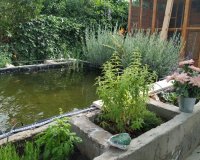 Reventa - Country House - Crevillente