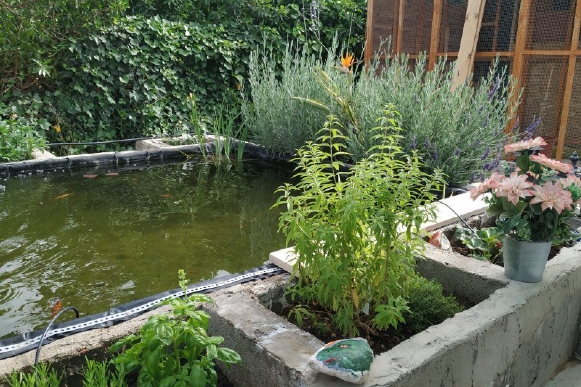 Reventa - Country House - Crevillente