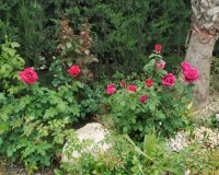 Reventa - Country House - Crevillente