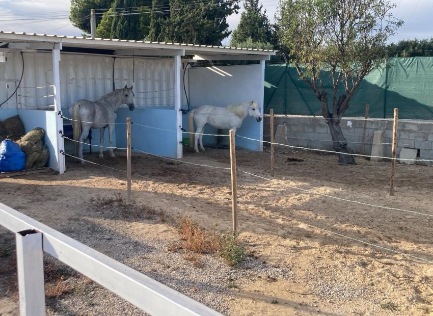 Reventa - Country House - Crevillente