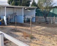 Reventa - Country House - Crevillente