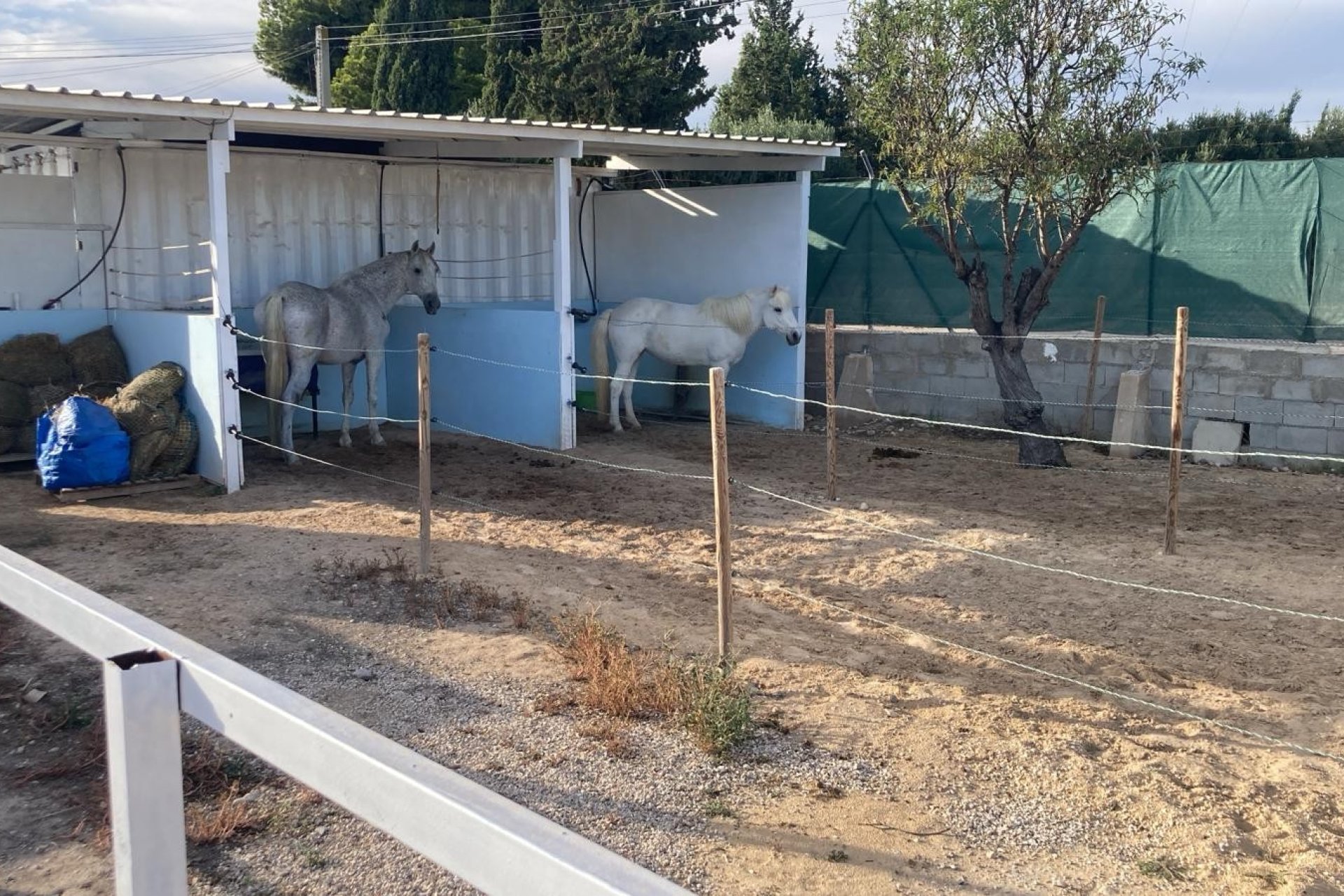 Reventa - Country House - Crevillente