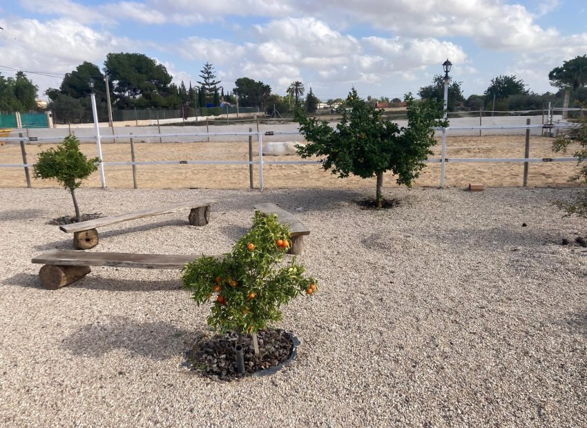 Reventa - Country House - Crevillente