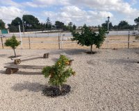 Reventa - Country House - Crevillente