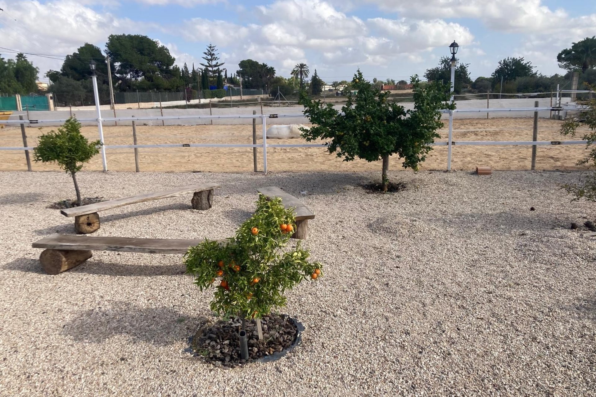 Reventa - Country House - Crevillente