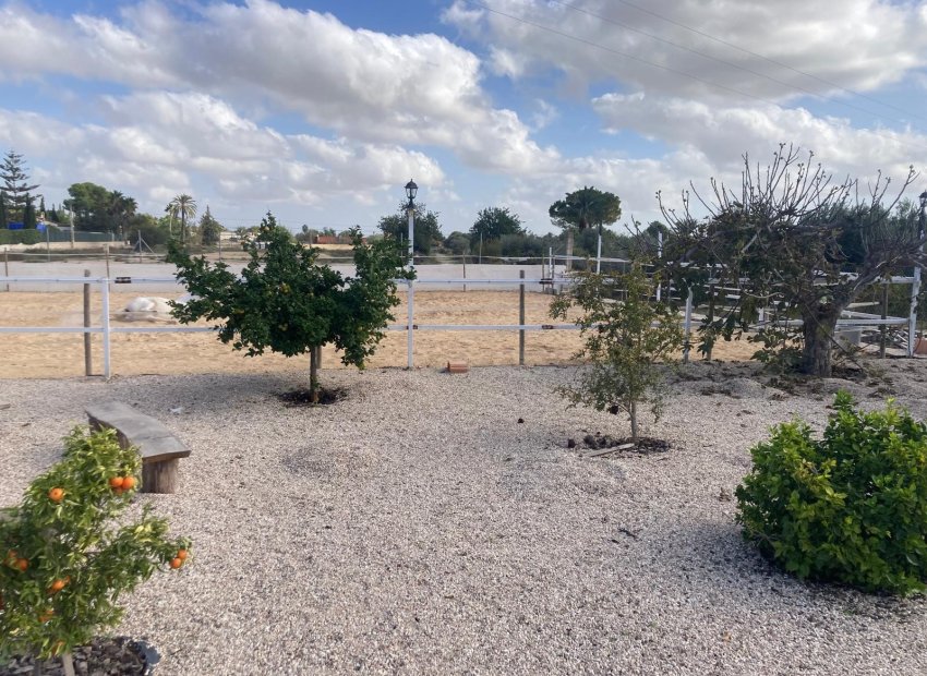 Reventa - Country House - Crevillente