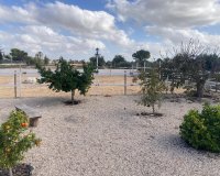 Reventa - Country House - Crevillente