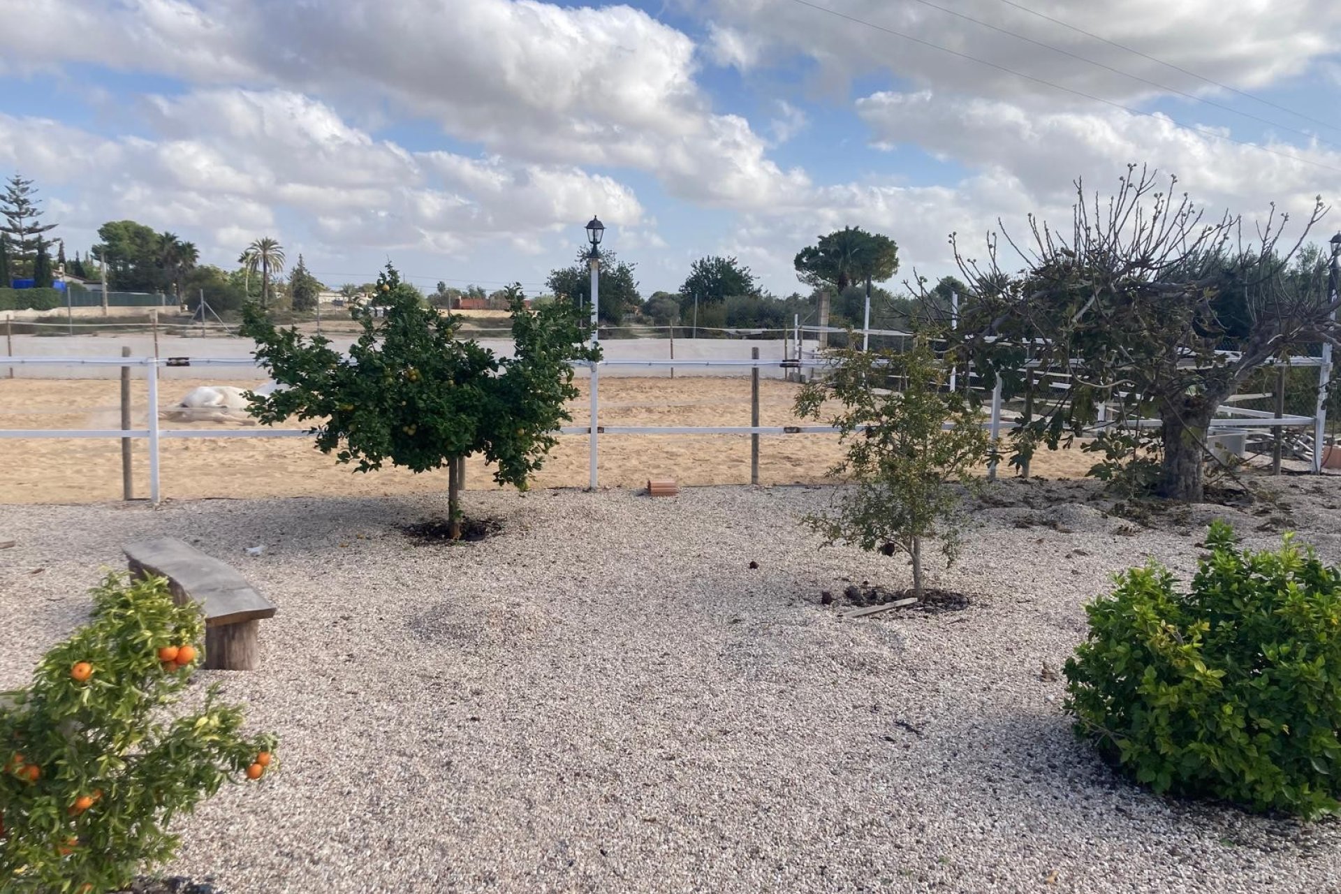 Reventa - Country House - Crevillente