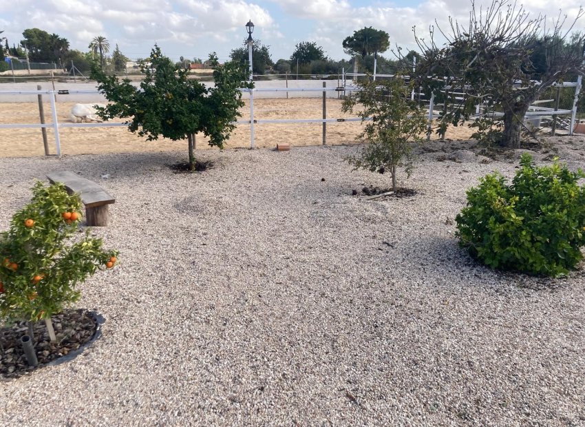 Reventa - Country House - Crevillente