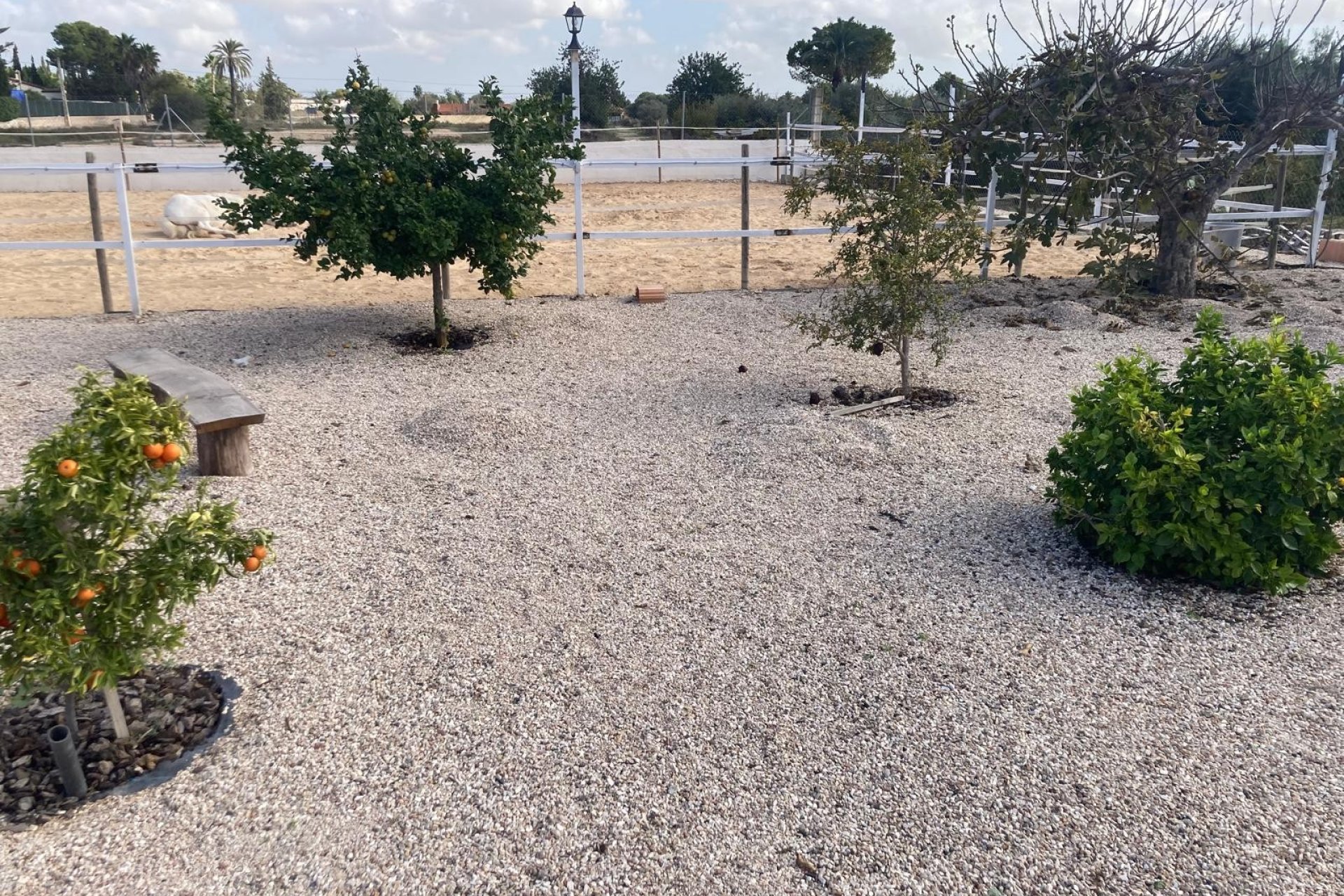 Reventa - Country House - Crevillente