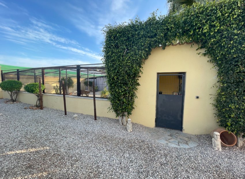 Reventa - Country House - Elche - Las Bayas