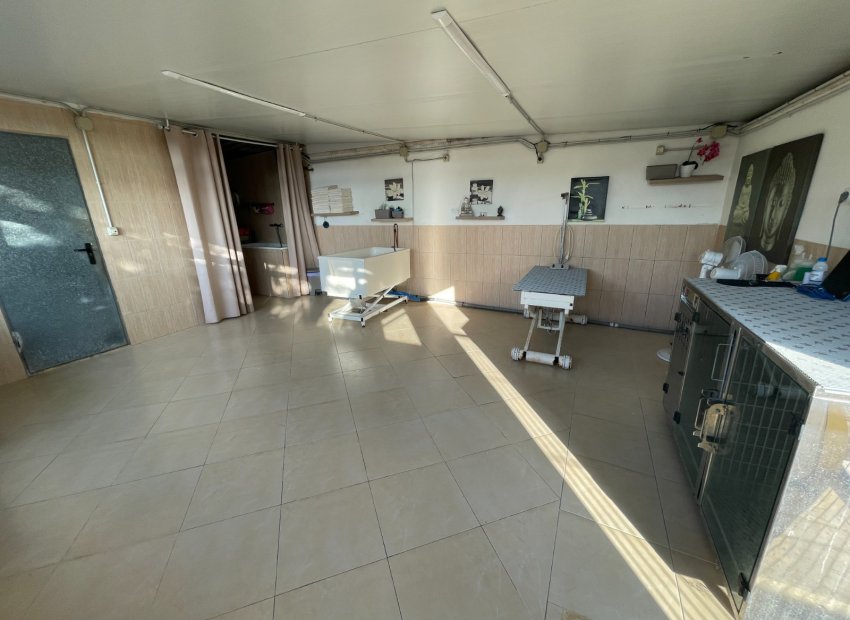 Reventa - Country House - Elche - Las Bayas