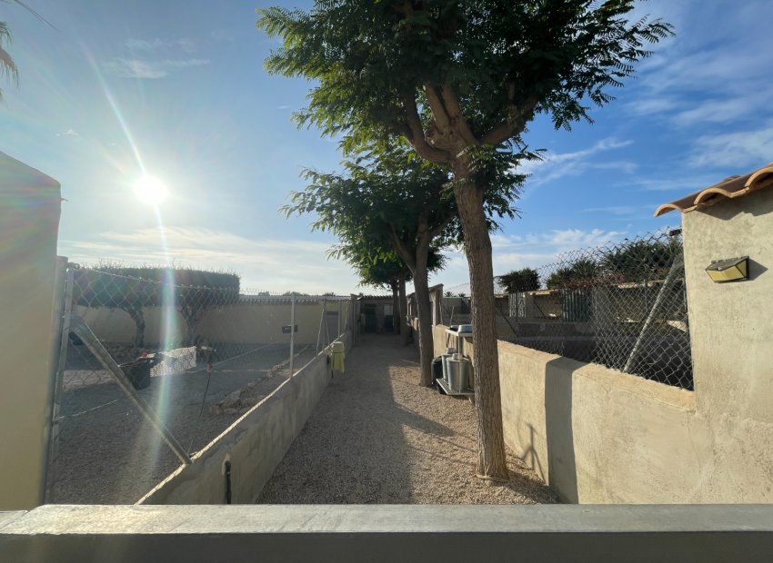 Reventa - Country House - Elche - Las Bayas