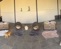 Reventa - Country House - Elche - Las Bayas