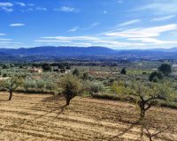 Reventa - Country House - Gaianes