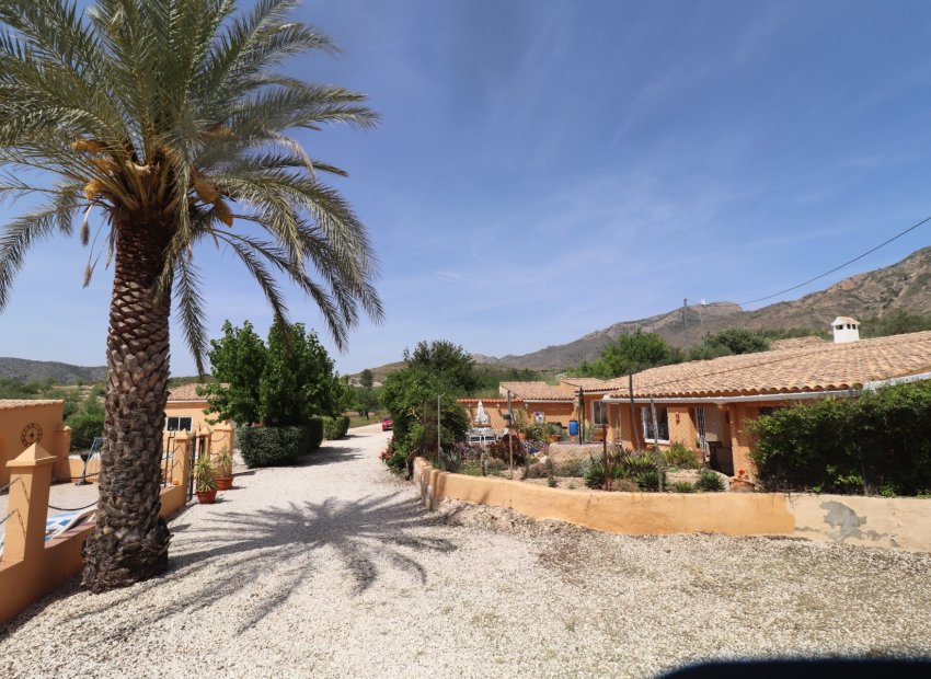 Reventa - Country House - Hondón de las Nieves - La Canalosa