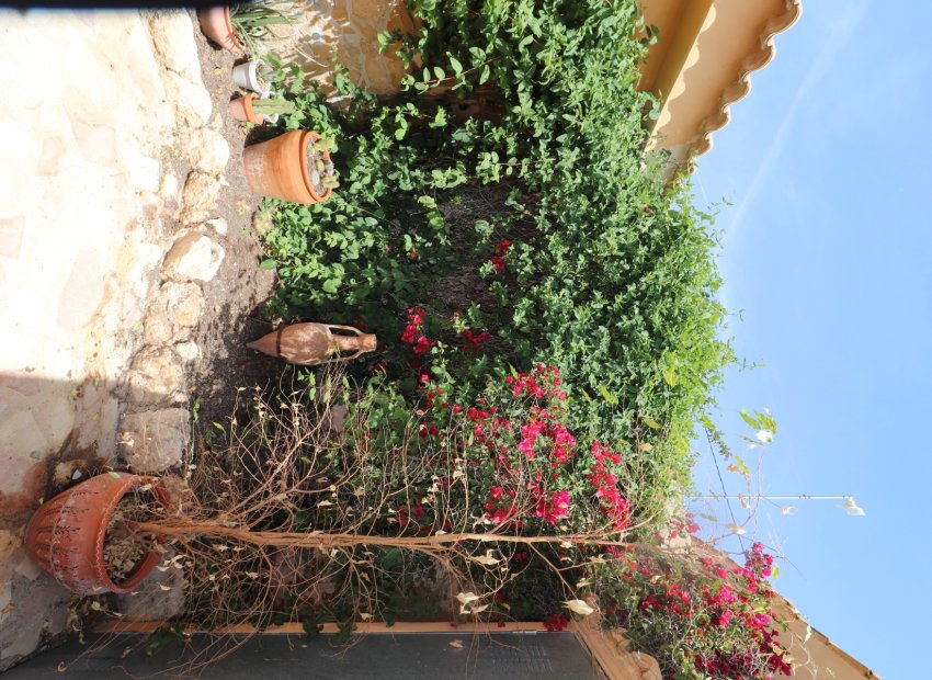 Reventa - Country House - Hondón de las Nieves - La Canalosa