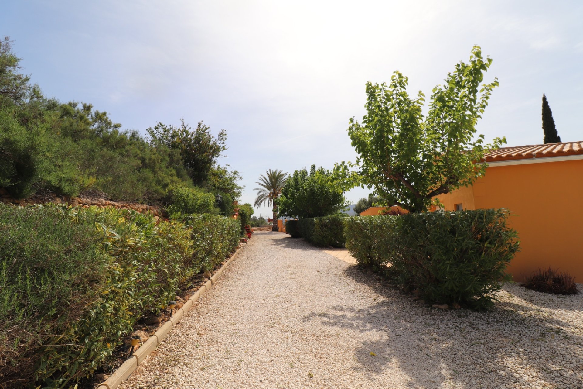 Reventa - Country House - Hondón de las Nieves - La Canalosa