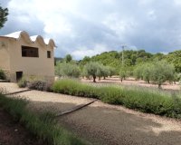 Reventa - Country House - Ibi - Ibi - Country