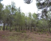 Reventa - Country House - Ibi - Ibi - Country