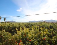 Reventa - Country House - Murcia - Costa Blanca