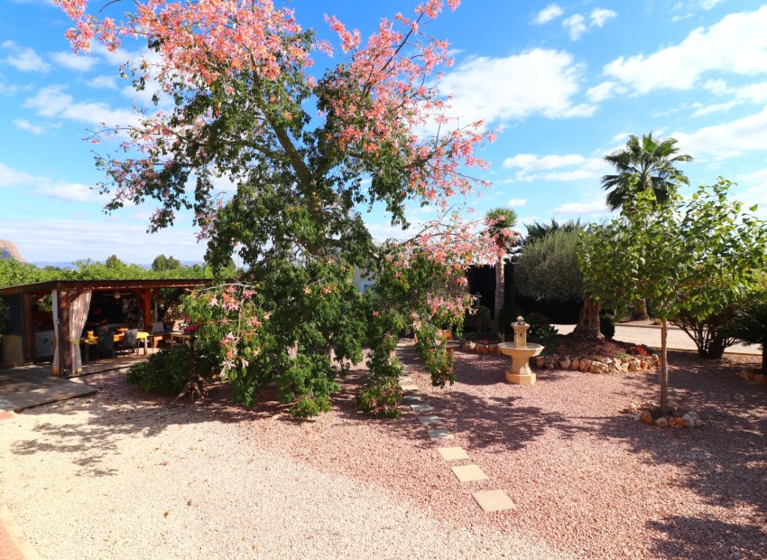 Reventa - Country House - Orihuela - La Campaneta