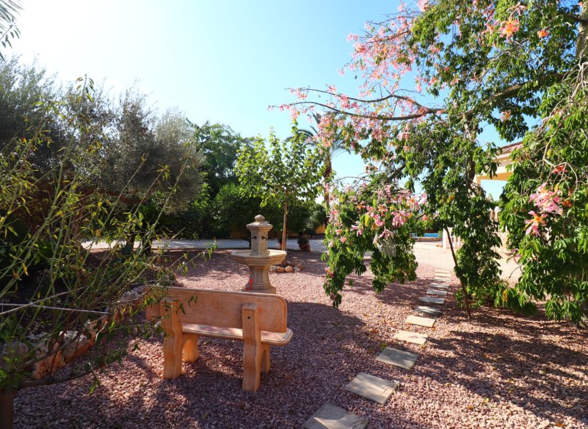 Reventa - Country House - Orihuela - La Campaneta