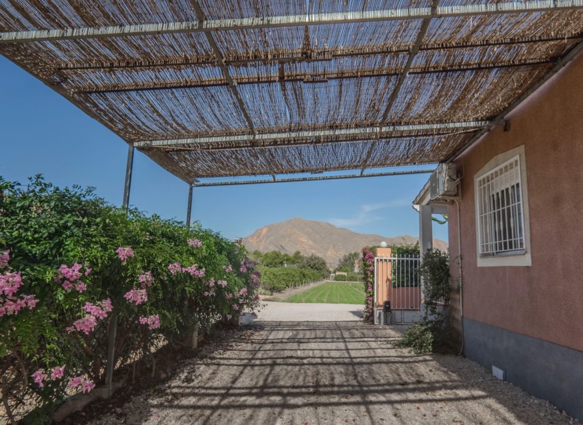 Reventa - Country House - Orihuela - San Bartolome