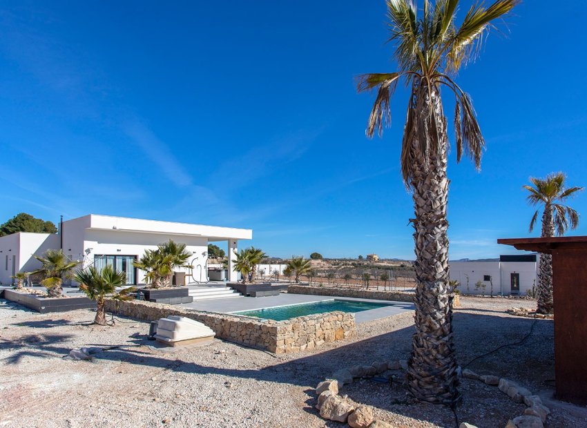 Reventa - Country House - Pinoso - Campo