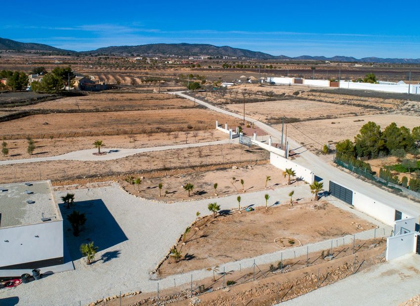 Reventa - Country House - Pinoso - Campo