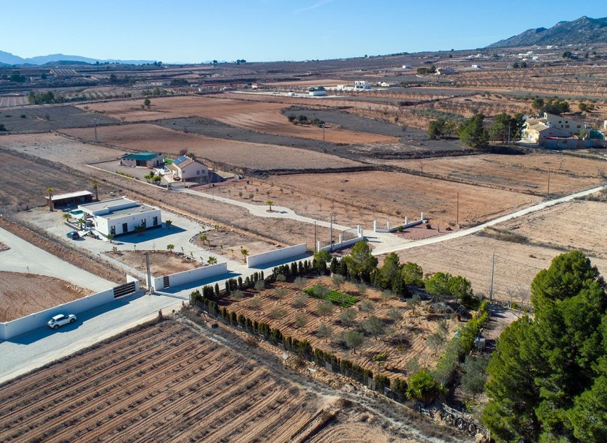 Reventa - Country House - Pinoso - Campo