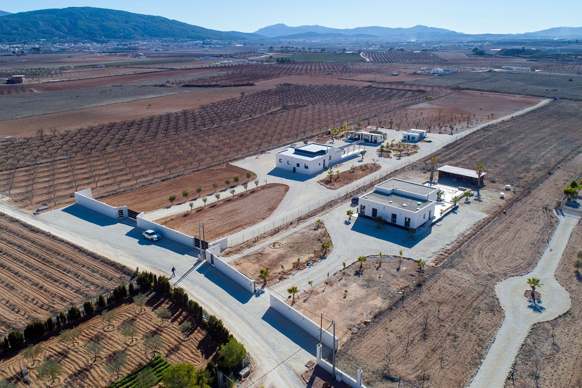 Reventa - Country House - Pinoso - Campo