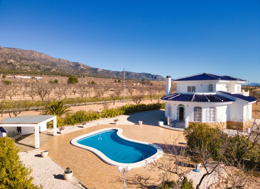 Reventa - Country House - Pinoso