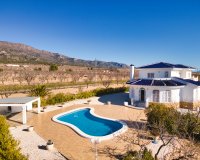 Reventa - Country House - Pinoso