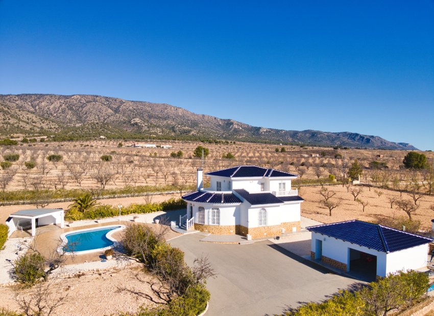 Reventa - Country House - Pinoso