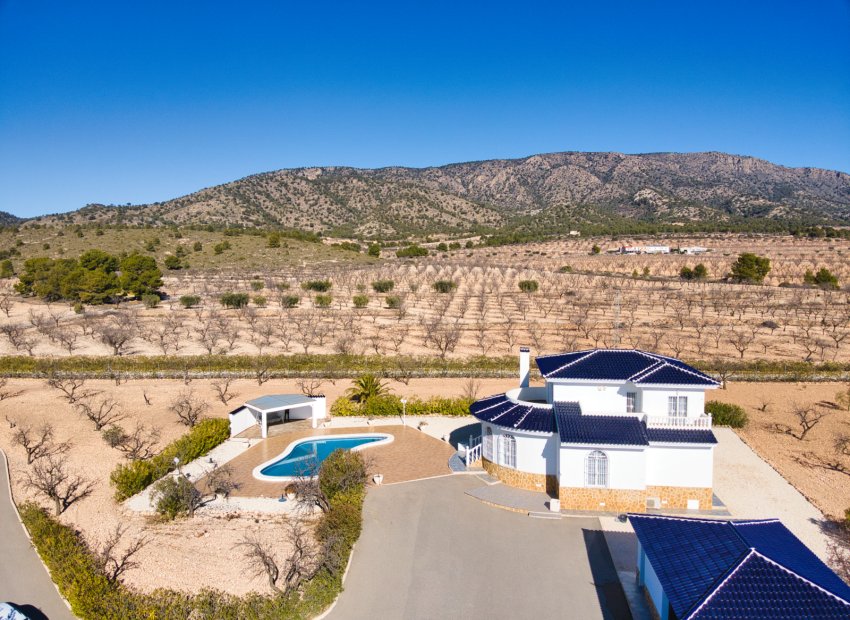 Reventa - Country House - Pinoso