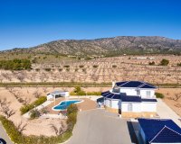 Reventa - Country House - Pinoso