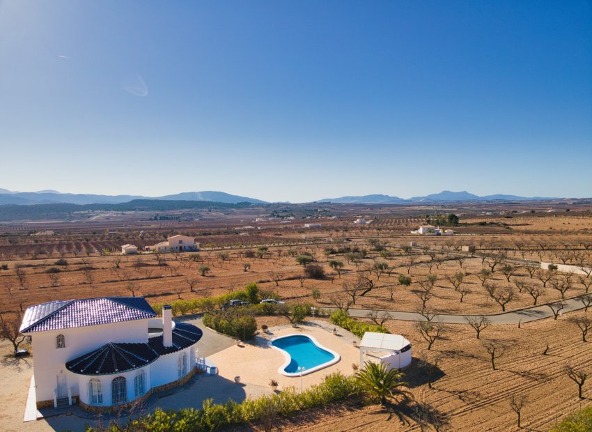 Reventa - Country House - Pinoso