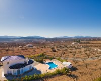 Reventa - Country House - Pinoso