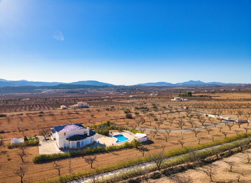 Reventa - Country House - Pinoso