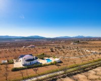 Reventa - Country House - Pinoso