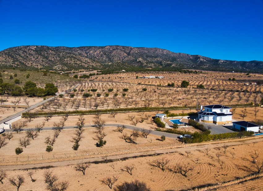 Reventa - Country House - Pinoso