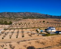 Reventa - Country House - Pinoso