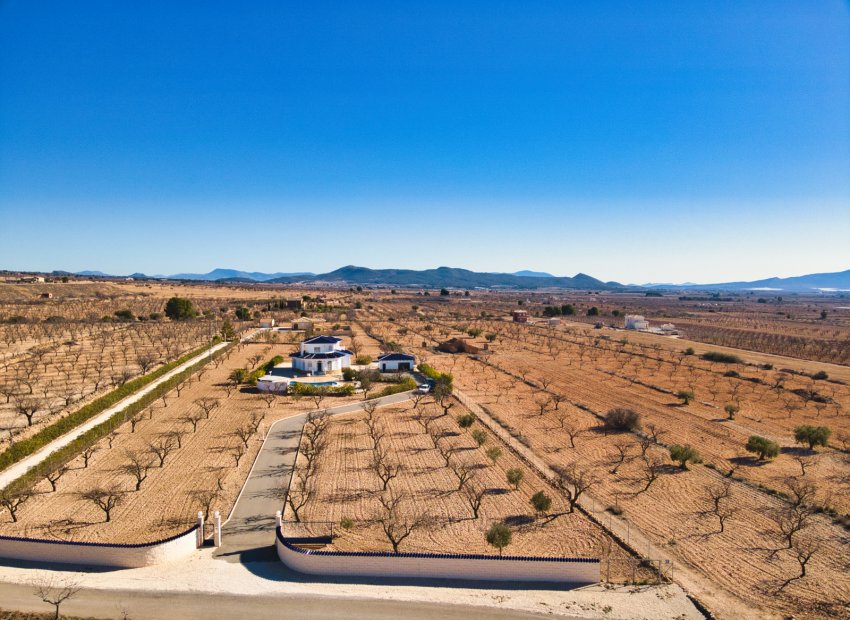 Reventa - Country House - Pinoso