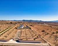 Reventa - Country House - Pinoso